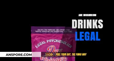 Are Mushroom Drinks Legal? Exploring the Legal Status of Functional Beverages