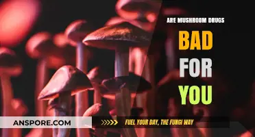 Are Mushroom Drugs Harmful? Exploring Psilocybin's Risks and Benefits