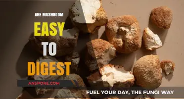 Mushrooms: Easy to Digest Superfood?