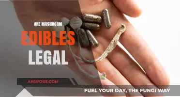 Are Mushroom Edibles Legal? Understanding Psilocybin Laws and Regulations