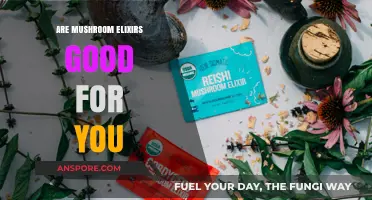 Mushroom Elixirs: Unlocking Health Benefits or Just a Fad?