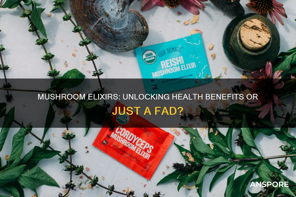 are mushroom elixirs good for you