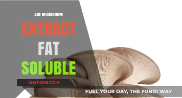 Mushroom Extracts: Fat Solubility and Benefits