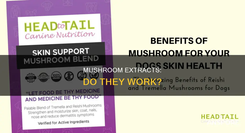 are mushroom extracts effective