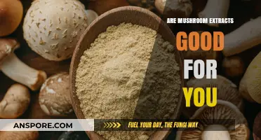 Mushroom Extracts: Unlocking Health Benefits and Wellness Potential