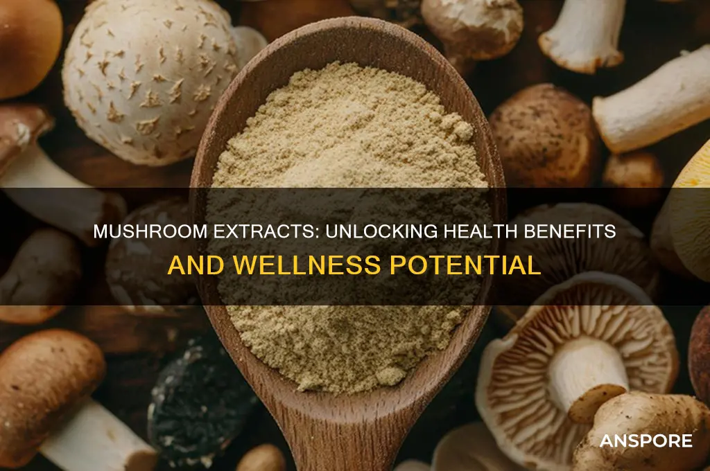are mushroom extracts good for you