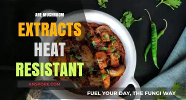 Mushroom Extracts: Heat-Resistant Superfood?