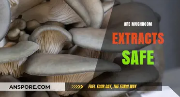 Mushroom Extracts: Safe Superfood or Health Hazard?