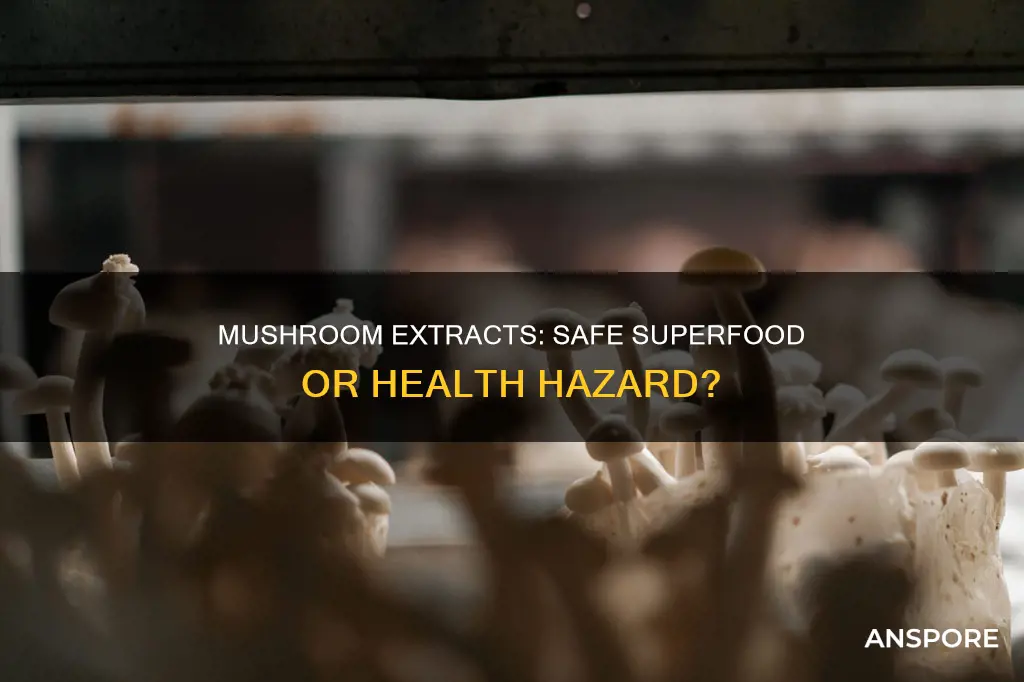 are mushroom extracts safe