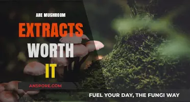 Mushroom Extracts: Superfood or Super-Hype?