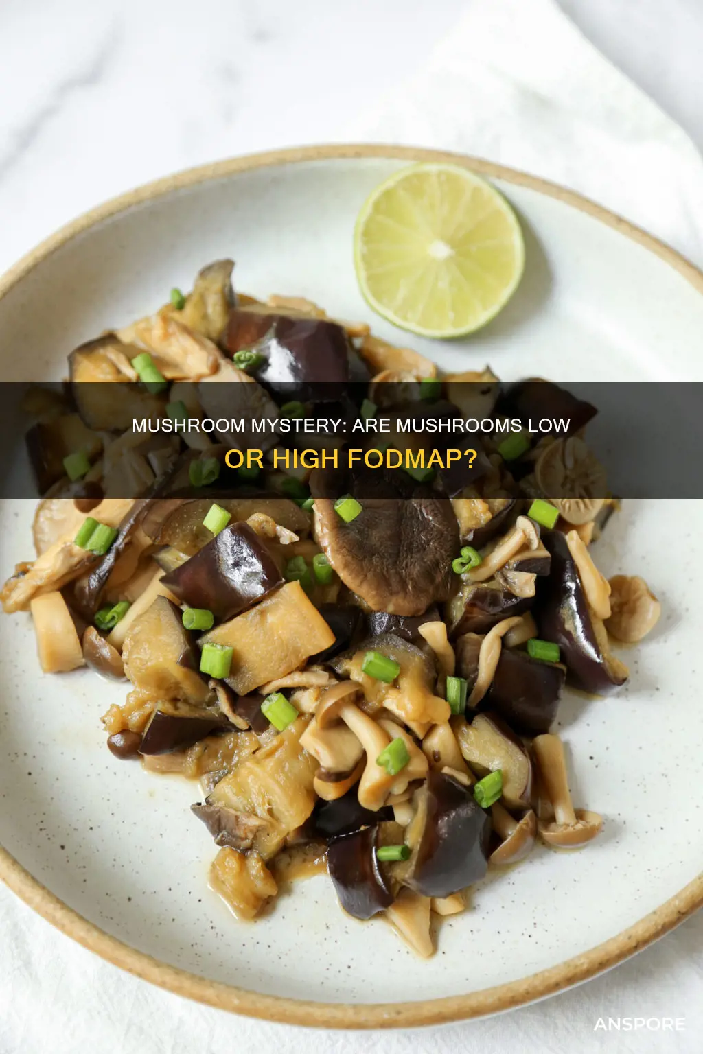 are mushroom fodmap