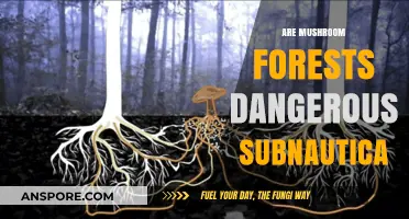 Mushroom Forests: Subnautica's Deadliest Zone?