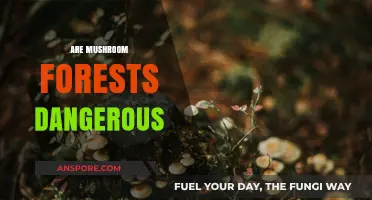 Mushroom Forests: Harmful or Harmless?