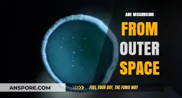 Mushrooms: Aliens or Earthlings?