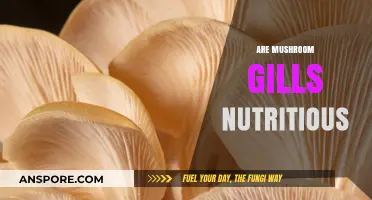 Mushroom Gills: Nutritional Powerhouses or Not?