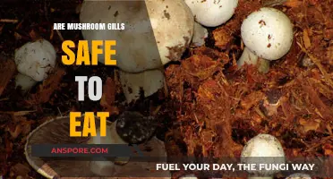 Are Mushroom Gills Edible? Safety Tips for Eating Fungi