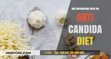 Mushrooms and Candida: Are They a Healthy Dietary Choice?