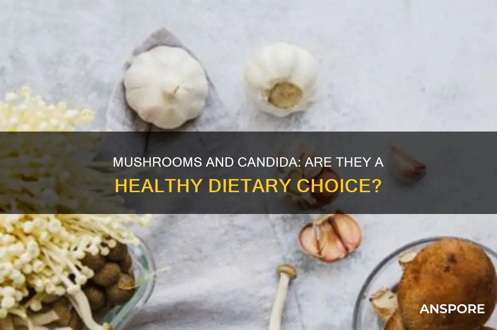 are mushroom good on anti candida diet