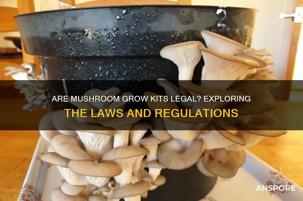 are mushroom grow kits illegal