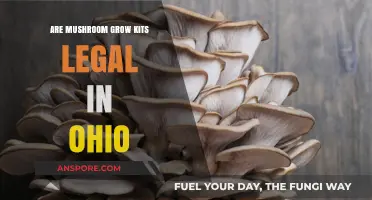 Are Mushroom Grow Kits Legal in Ohio? A Comprehensive Guide