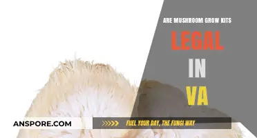 Are Mushroom Grow Kits Legal in Virginia? A Comprehensive Guide