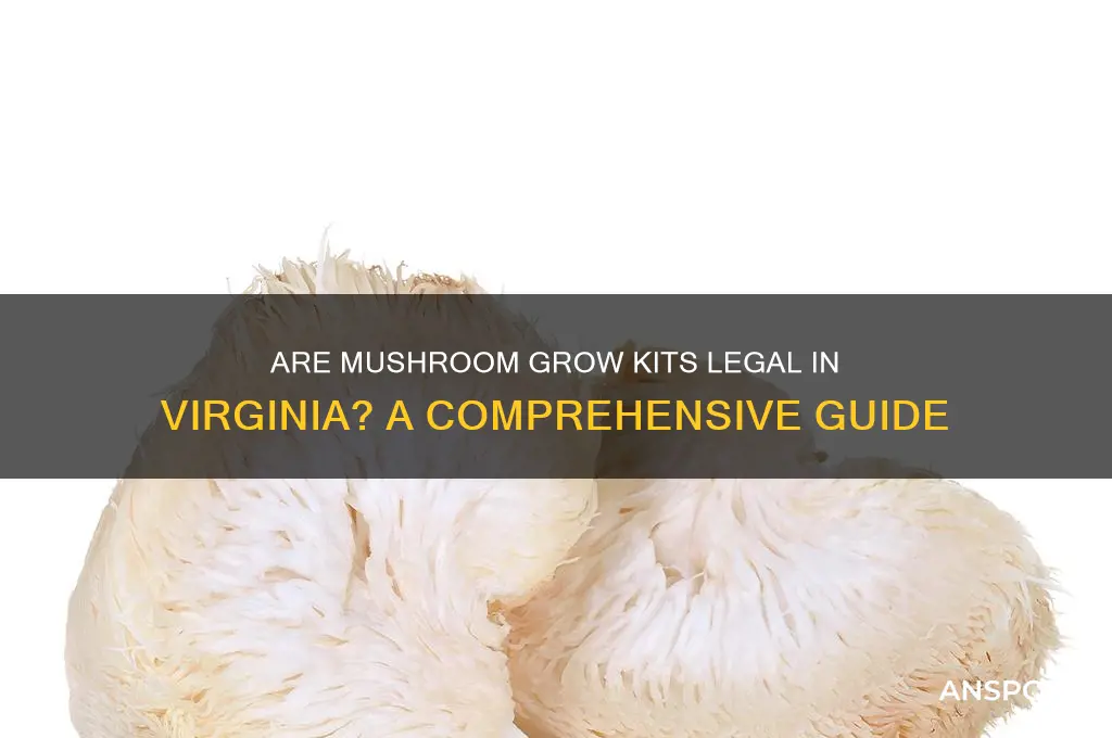 are mushroom grow kits legal in va
