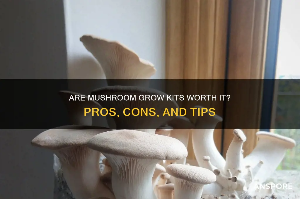 are mushroom grow kits worth it
