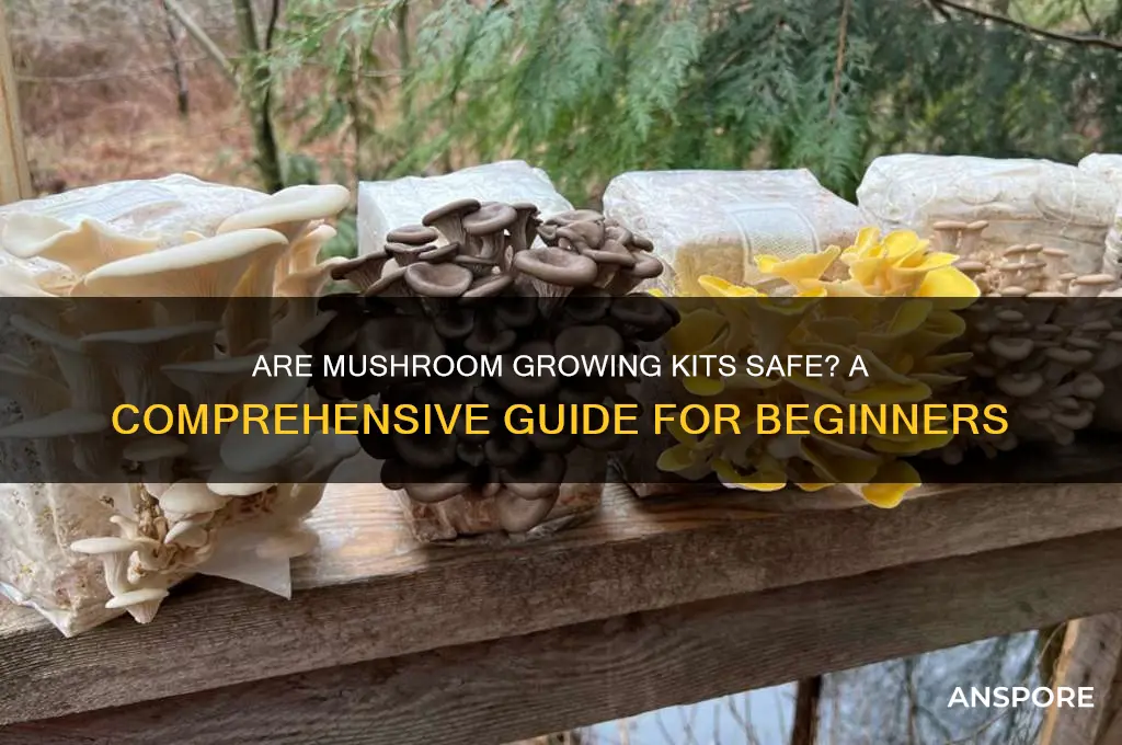 are mushroom growing kits safe