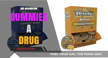Mushroom Gummies: Medicine or Magic?