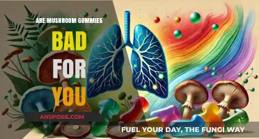 Are Mushroom Gummies Harmful? Uncovering the Truth About Their Health Impact