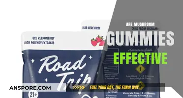 Mushroom Gummies: Do They Work?