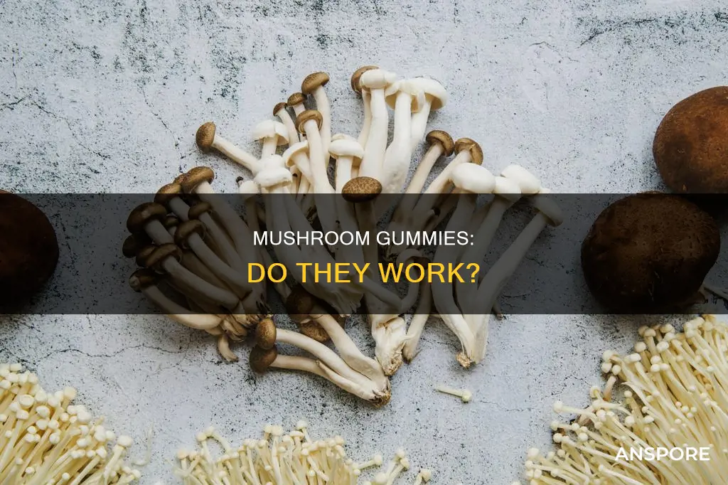 are mushroom gummies effective