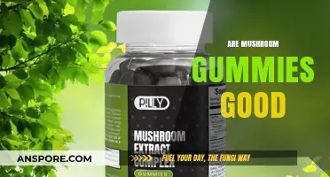 Are Mushroom Gummies Good? Unveiling Benefits, Risks, and Facts