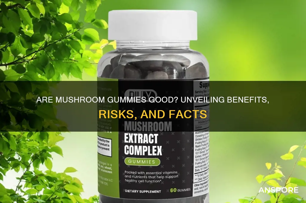are mushroom gummies good