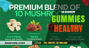 Mushroom Gummies: Healthy or Hype?