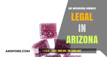 Are Mushroom Gummies Legal in Arizona? What You Need to Know
