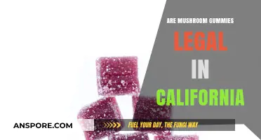 Are Mushroom Gummies Legal in California? A Comprehensive Guide