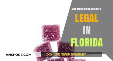 Are Mushroom Gummies Legal in Florida? What You Need to Know