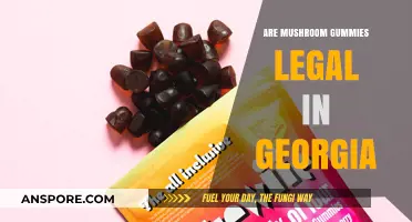 Are Mushroom Gummies Legal in Georgia? What You Need to Know