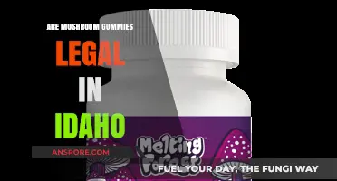Are Mushroom Gummies Legal in Idaho? What You Need to Know
