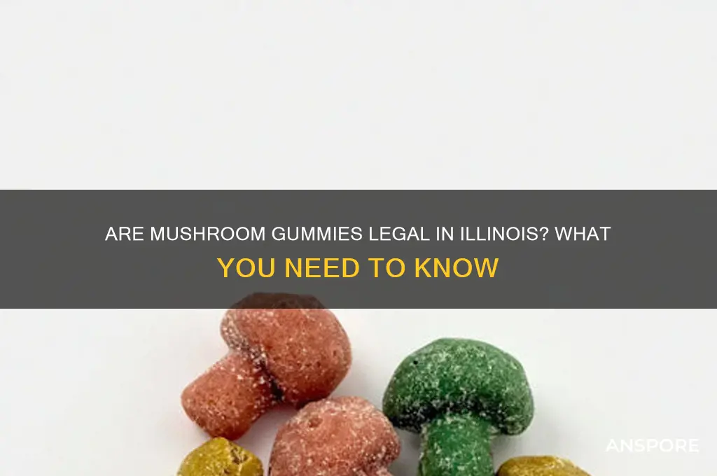 are mushroom gummies legal in illinois