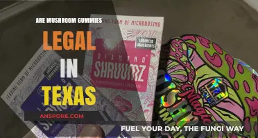 Are Mushroom Gummies Legal in Texas? What You Need to Know