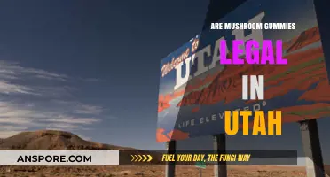 Are Mushroom Gummies Legal in Utah? Exploring the Current Laws
