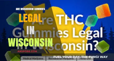 Are Mushroom Gummies Legal in Wisconsin? What You Need to Know