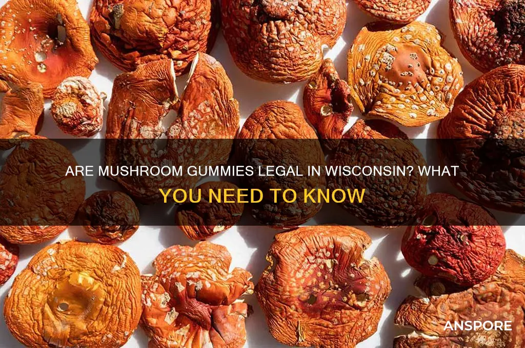 are mushroom gummies legal in wisconsin