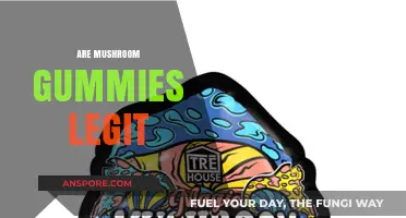 Mushroom Gummies: Legit or a Gimmick?