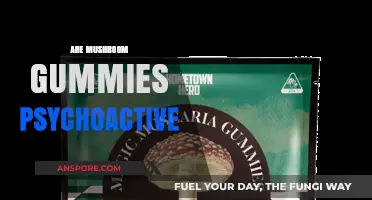 Mushroom Gummies: Do They Cause a Psychedelic Trip?