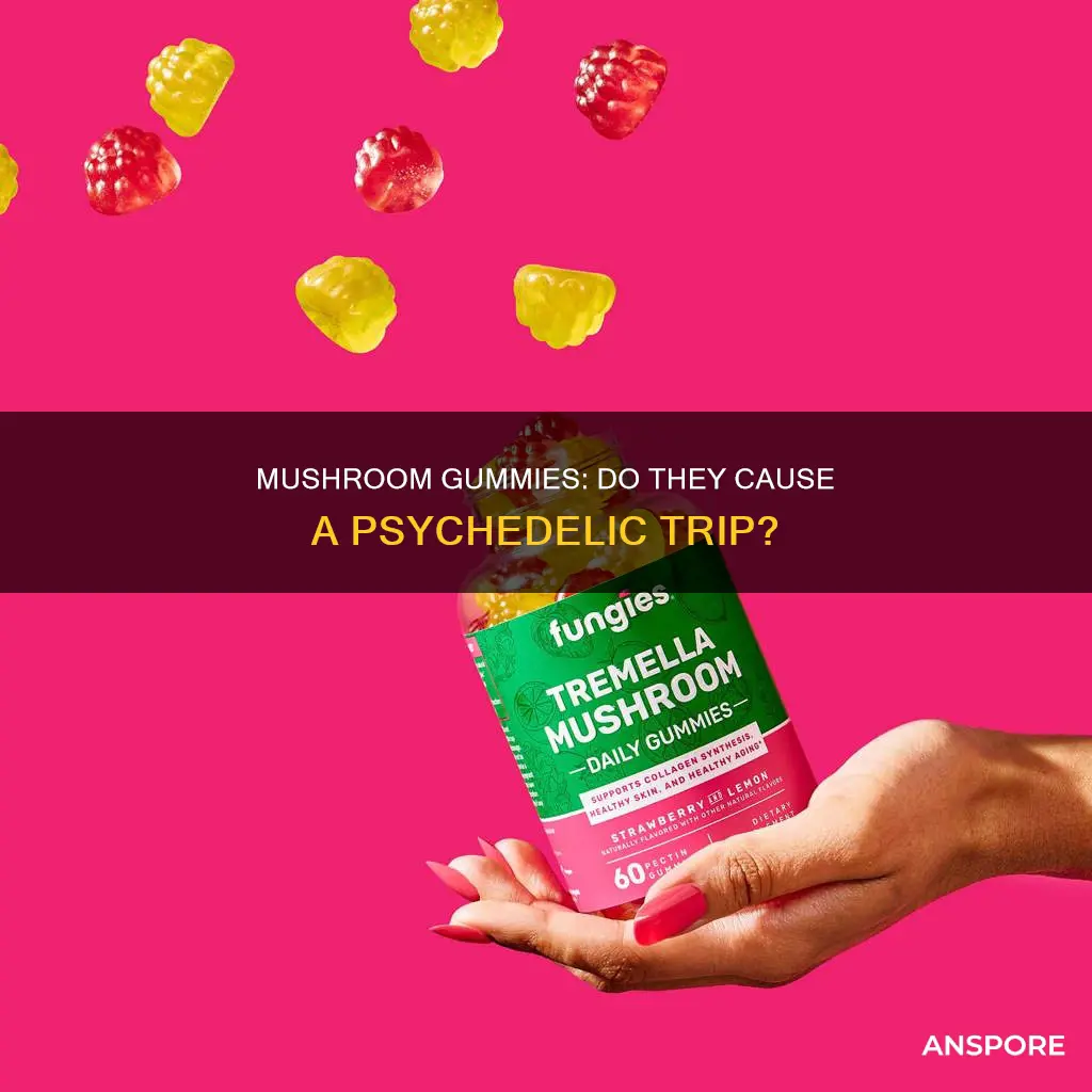 are mushroom gummies psychoactive