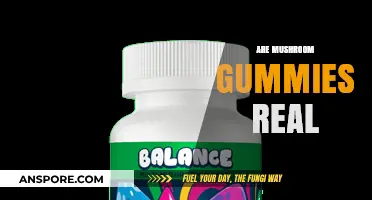 Mushroom Gummies: Real Deal or Just Hype?