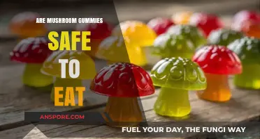 Are Mushroom Gummies Safe? Exploring Benefits, Risks, and Usage Tips